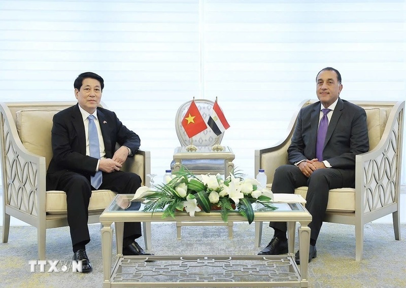 Chủ tịch nước Lương Cường hội kiến Thủ tướng Ai Cập Mostafa Madbouly. Ảnh: Lâm Khánh/TTXVN