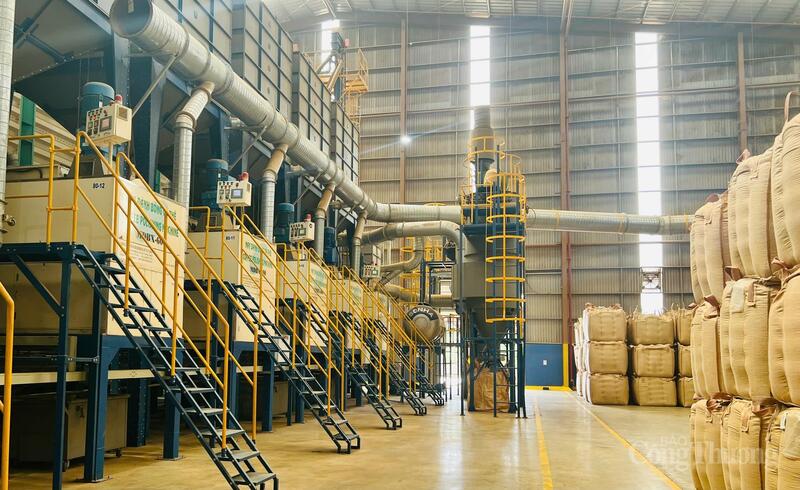 Nhà máy chế biến, bảo quản cà phê của Công ty TNHH Vĩnh Hiệp. Ảnh: Hiền Mai