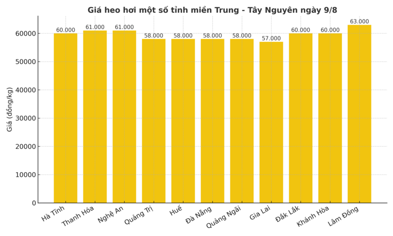 Biểu đồ giá heo hơi một số tỉnh Trung - Tây Nguyên ngày 9/8
