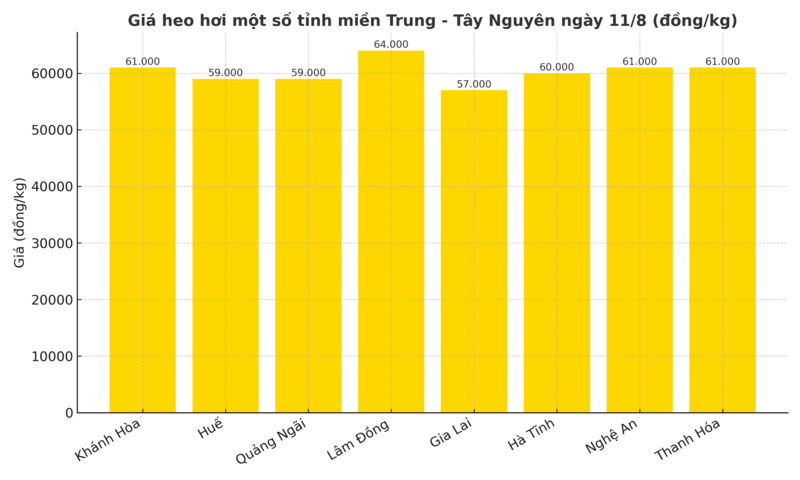 Biểu đồ giá heo hơi một số tỉnh miền Trung - Tây Nguyên ngày 11/8