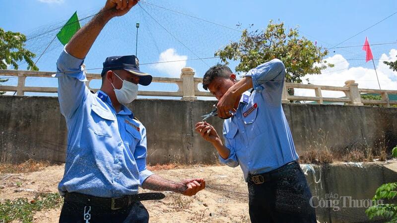 Đội chống săn bắt chim yến của Công ty Yến sào Khánh Hòa giải cứu chim yến