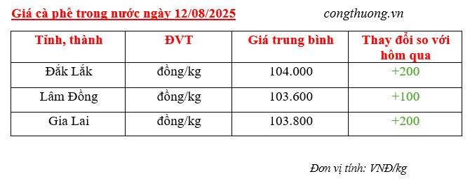 Bảng giá cà phê trong nước sáng ngày 12/8/2025