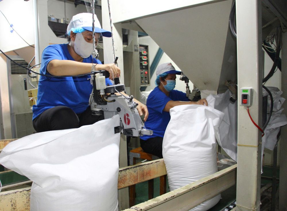 Trong bối cảnh nhiều quốc gia xuất khẩu gạo sụt giảm, Việt Nam vẫn tăng sản lượng 3,1% dù giá giảm 19%.