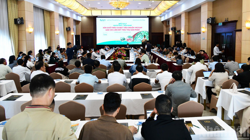 Diễn đàn khuyến nông chủ đề “Sản xuất mắc ca đạt tiêu chuẩn VietGAP gắn với liên kết tiêu thụ sản phẩm”. Ảnh: Nhandan