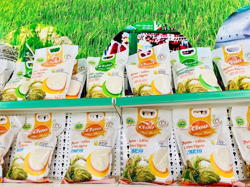 Nhiều sản phẩm mang thương hiệu Gạo Phú Thiện đạt tiêu chuẩn sản phẩm OCOP