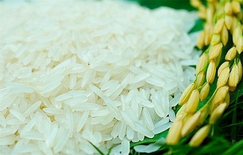 Sự phát triển của thương hiệu “Gạo Phú Thiện” không chỉ dừng ở những con số sản lượng hay giá trị kinh tế, mà còn tác động sâu sắc đến đời sống cộng đồng