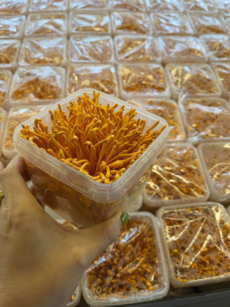 Nhờ áp dụng công nghệ cao, hợp tác xã Nam Dương đã tối ưu nhiều chi phí sản xuất, giúp bà con tiêu thụ nông sản với giá ổn định. Ảnh Nam Dương