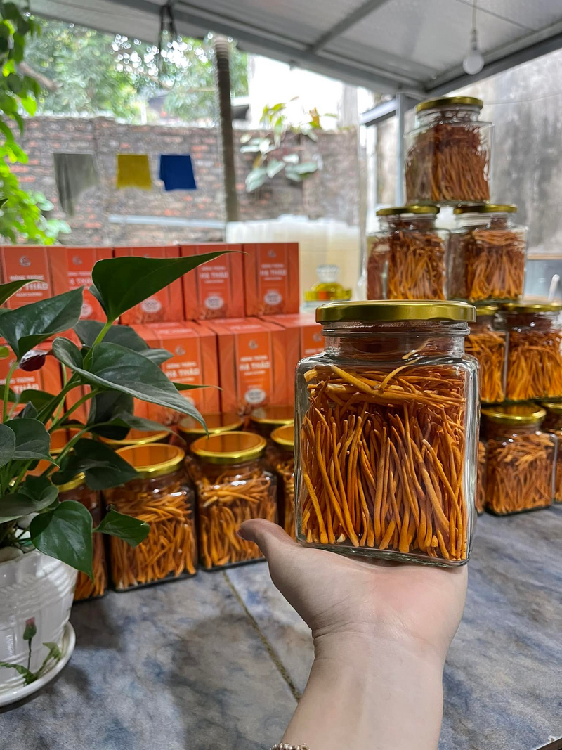 Sản phẩm đông trùng hạ thảo Nam Dương được chứng nhận đạt tiêu chuẩn OCOP 3 sao của tỉnh Phú Thọ. Ảnh: Nam Dương