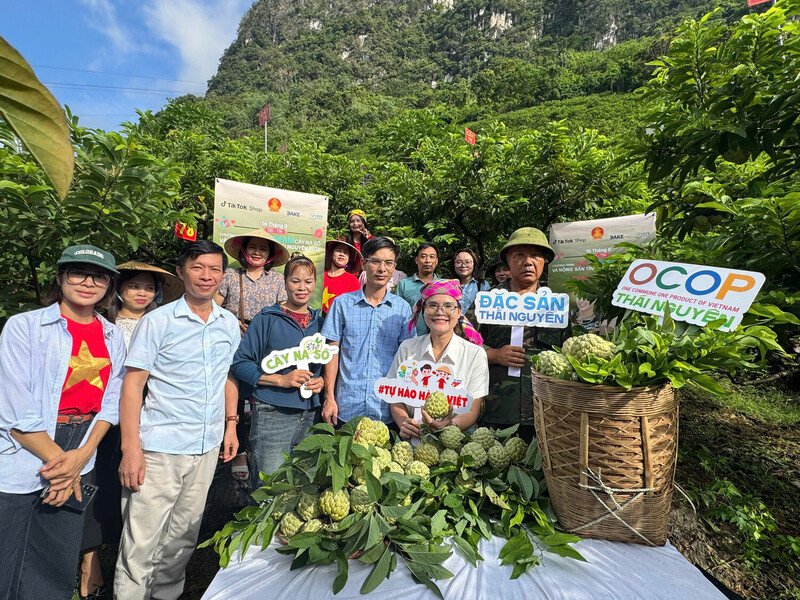 Cây na xã La Hiên và Võ Nhai chính thức “lên sóng” trên nền tảng TikTok. Ảnh: Văn Ngọc