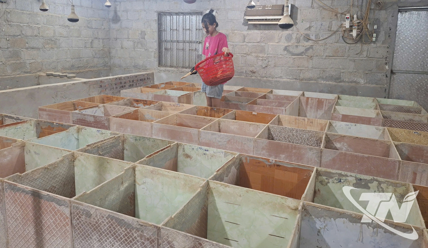 Trại dúi của gia đình anh Hứa Văn Thượng (xã Na Rì) hiện đã trang bị hệ thống sưởi và làm mát, giúp dúi sinh trưởng, phát triển tốt.