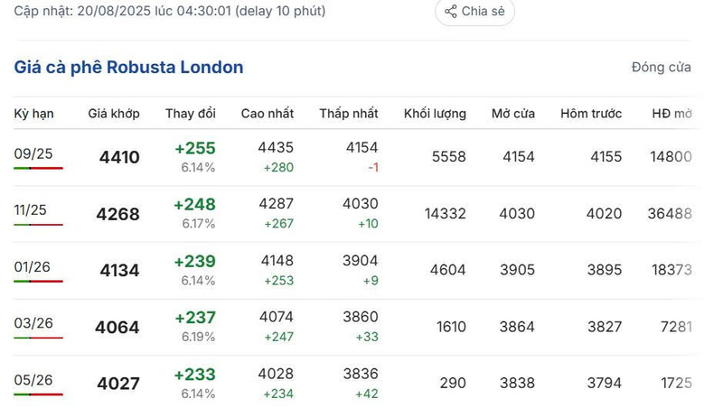 Giá cà phê Robusta London sáng ngày 20/8/2025