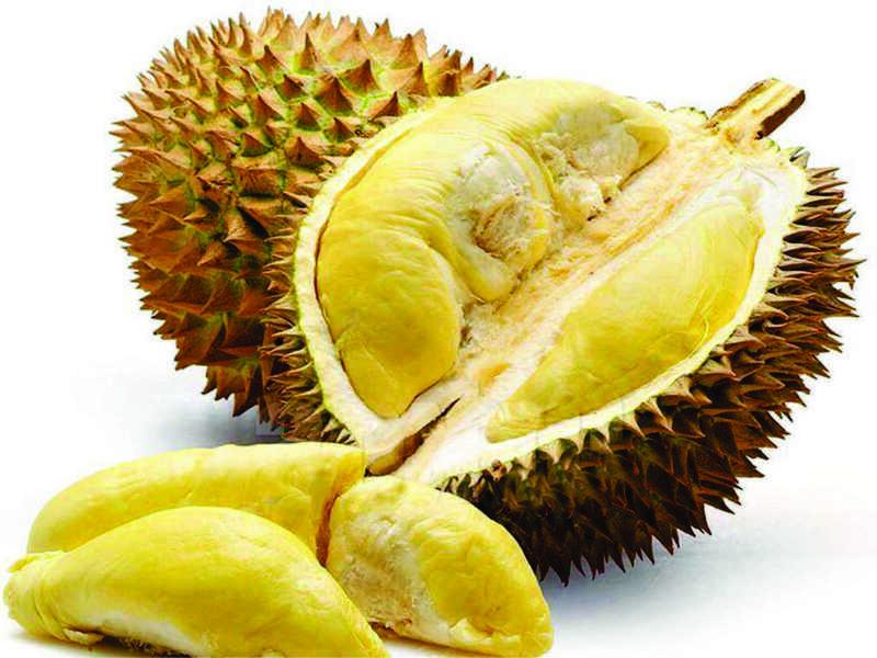 Sầu riêng Ea Knuếc đang từng bước đáp ứng những tiêu chuẩn khắt khe của thị trường quốc tế (Ảnh minh hoạ)