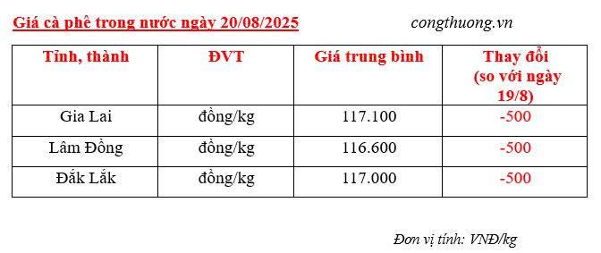 Bảng giá cà phê trong nước sáng ngày 20/8/2025