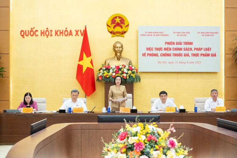 Phó Chủ tịch Quốc hội Nguyễn Thị Thanh phát biểu