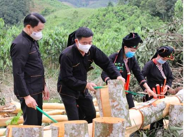 Quế hữu cơ mang lại giá trị cao cho bà con dân tộc thiểu số trên địa bàn tỉnh Lào Cai. Ảnh minh hoạ