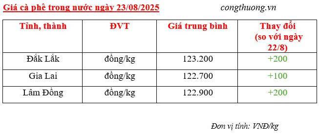 Bảng giá cà phê trong nước sáng ngày 23/8/2025