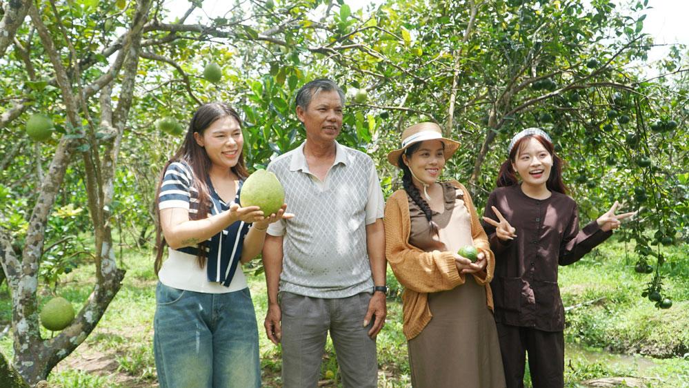Các nhà sáng tạo nội dung TikTok đến tham quan vườn bưởi liên kết với Công ty CP Vinagreenco (phường Đông Thành).