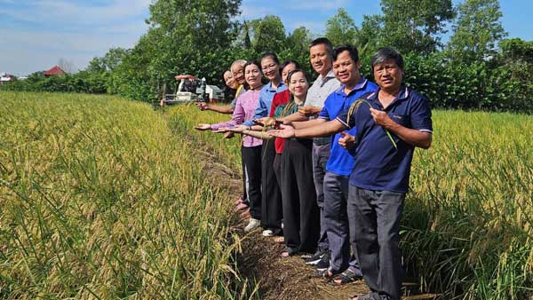 Sau 3 vụ mùa bội thu từ Hưng Long, đây là tín hiệu lạc quan và là sự thay đổi mạnh mẽ về ý thức canh tác của nông dân dịa phương.  Ảnh: Nguyễn Quang
