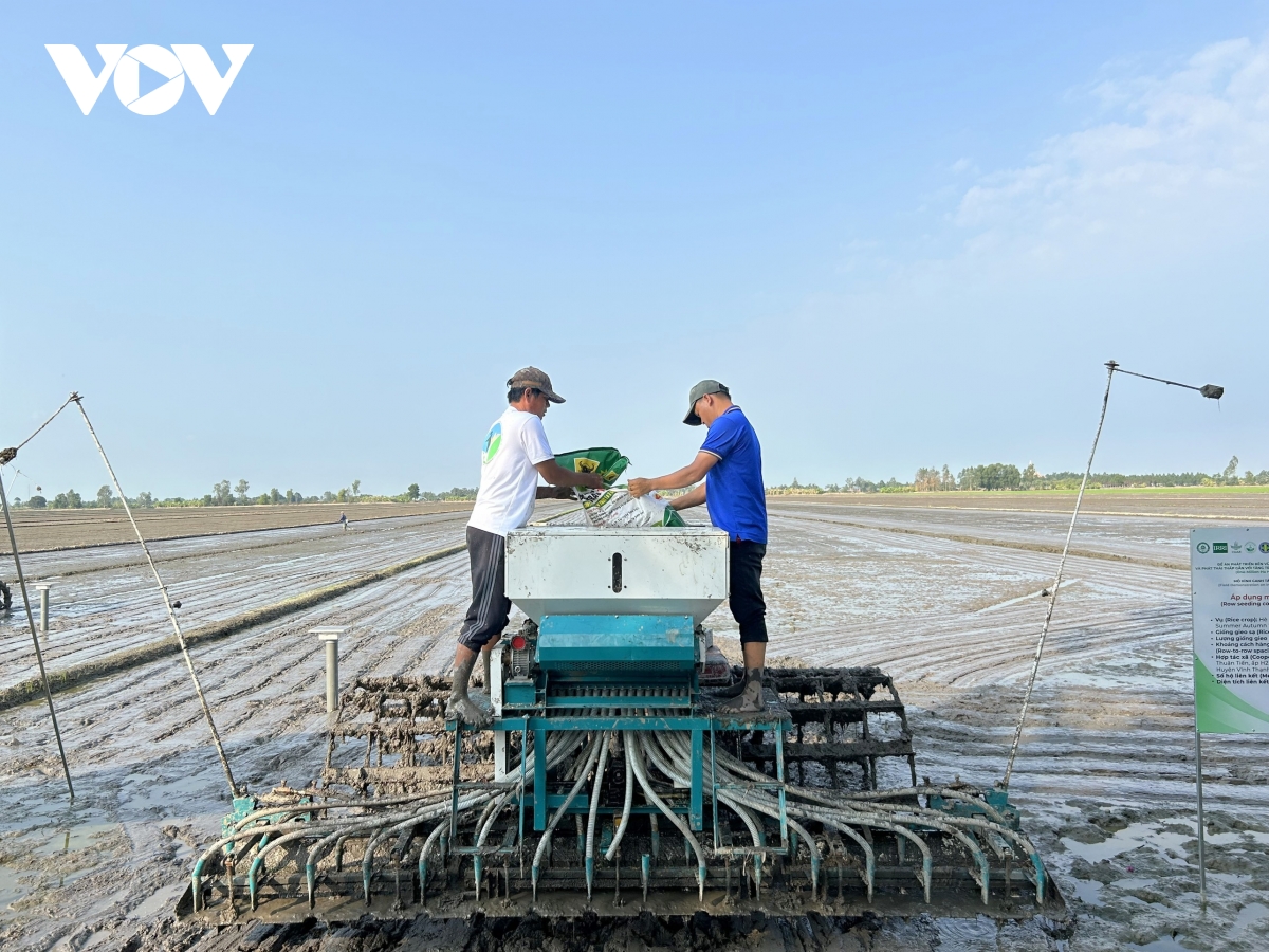 Chương trình 1 triệu ha lúa chất lượng cao phát thải thấp thực hiện tại ĐBSCL