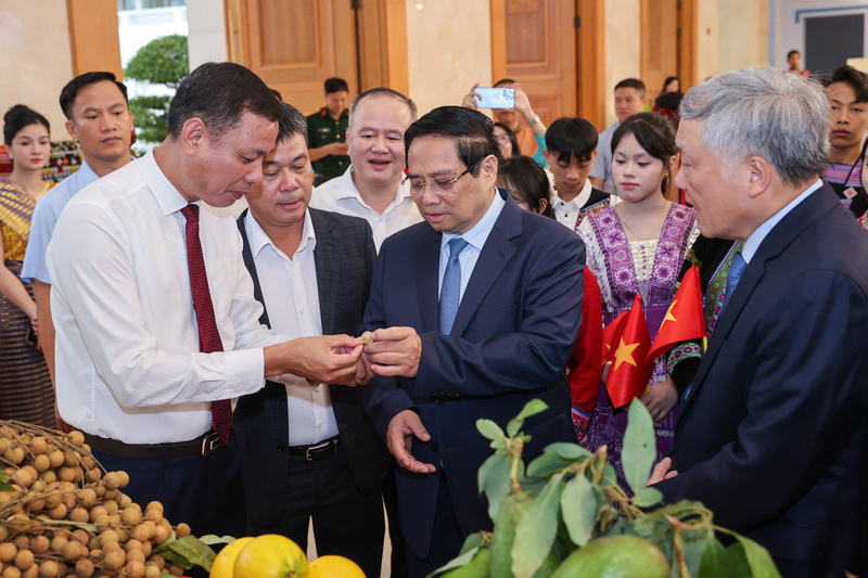 Tỉnh Sơn La xác định việc đảm bảo ổn định đầu ra cho nông sản không chỉ là vấn đề kinh tế mà còn gắn liền với đời sống xã hội, văn hóa của người dân vùng cao. (Ảnh: TTXT)