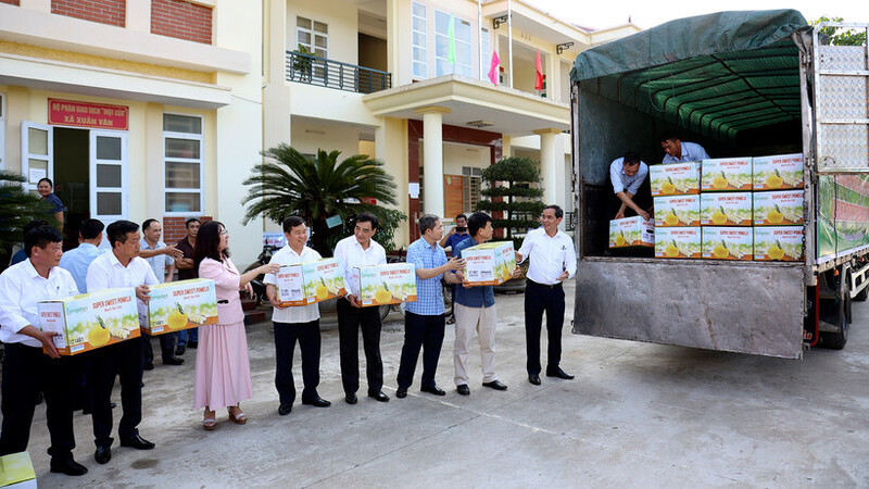 Bưởi Soi Hà xuất khẩu sang Vương quốc Anh. Ảnh: Minh Sơn