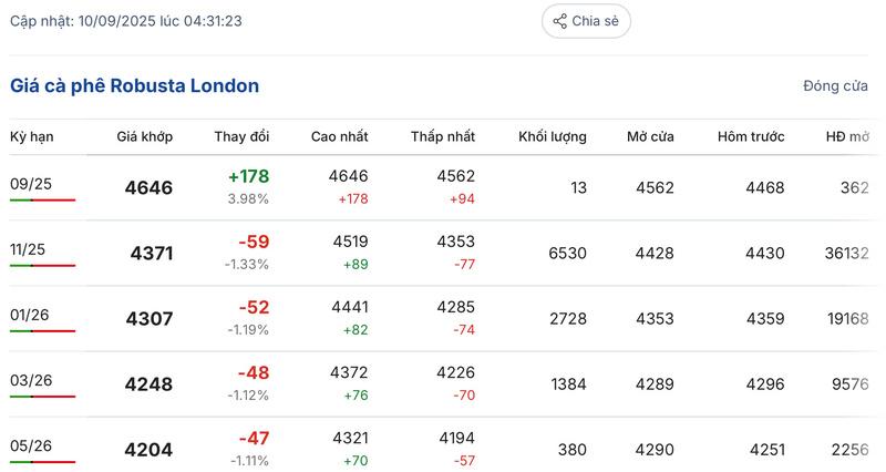 Giá cà phê Robusta London sáng ngày 10/9/2025