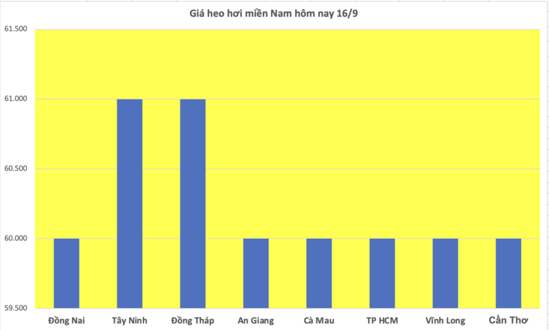 Giá heo hơi hôm nay 16/9/2025: Giảm tại nhiều vùng - 3
