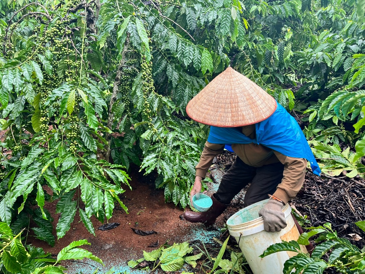 khuyến nông1