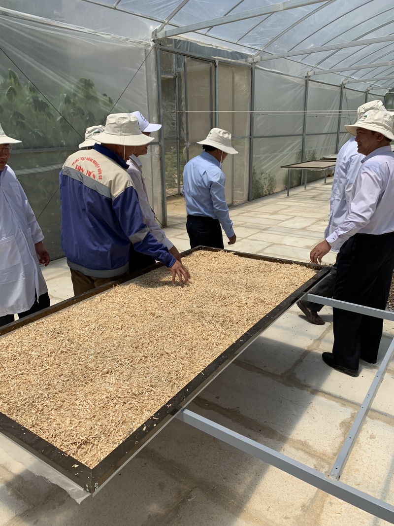 Nhà lưới phục vụ phơi nông sản của Trang trại nông nghiệp hữu cơ Tiến Tiến.