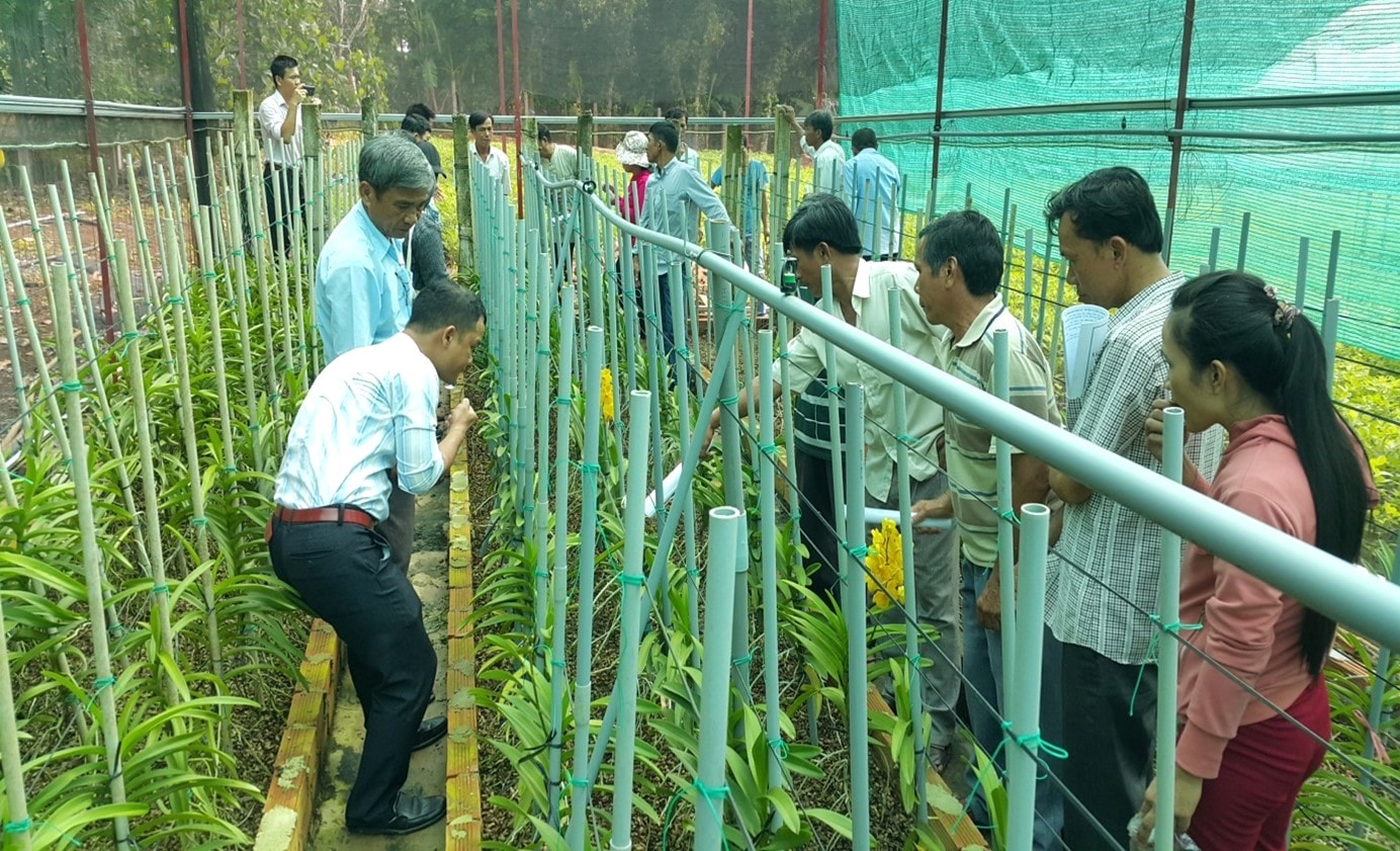 Hội thảo chuyển giao kỹ thuật trồng lan mokara