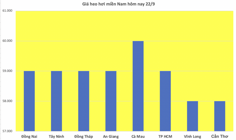 Giá heo hơi hôm nay 22/9/2025: Thị trường bình ổn trên cả 3 miền - 3