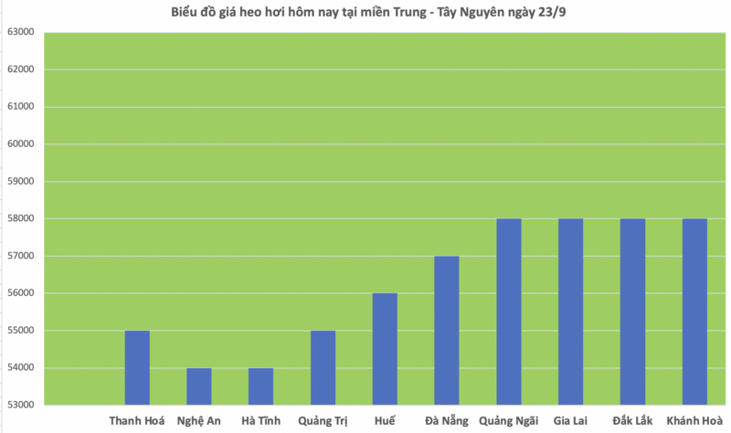 Giá heo hơi hôm nay 23/9/2025: Giảm nhẹ tại miền Bắc và miền Trung - 2