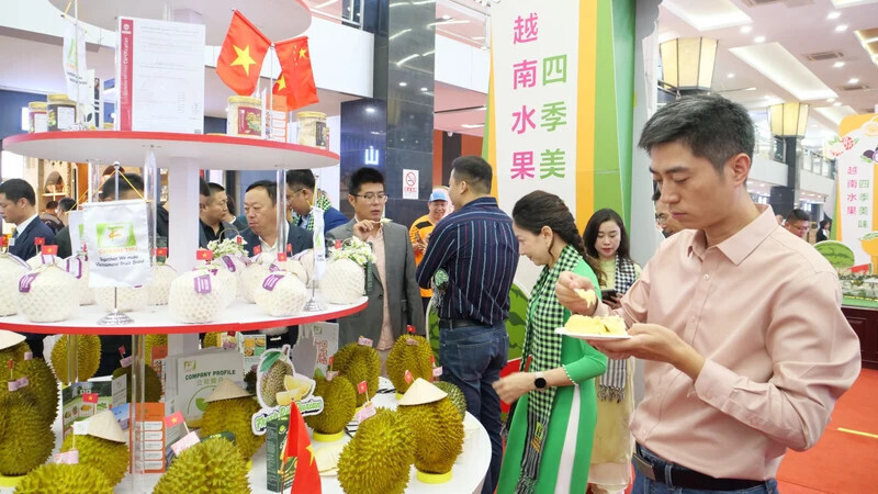 Lễ hội trái cây Việt Nam vừa được tổ chức tại Bắc Kinh (Trung Quốc), nhằm thúc đẩy xuất khẩu nông sản Việt sang thị trường tiêu dùng 1,4 tỷ dân - Ảnh: Hồ Quân