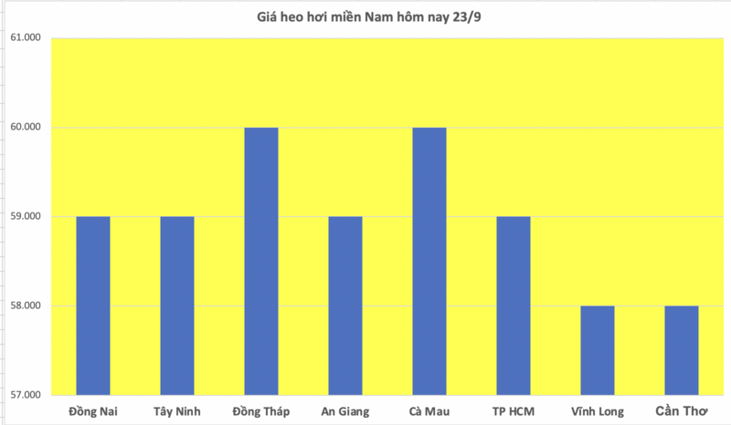 Giá heo hơi hôm nay 23/9/2025: Giảm nhẹ tại miền Bắc và miền Trung - 3