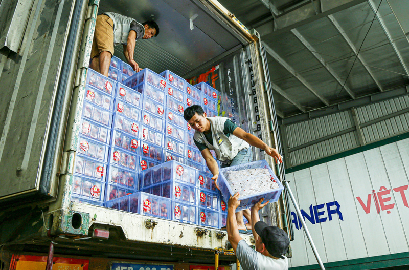 Công nhân vận chuyển nông sản lên các xe container trước khi xuất khẩu sang Trung Quốc tại khu vực cửa khẩu Tân Thanh, tỉnh Lạng Sơn - Ảnh: Hà Quân
