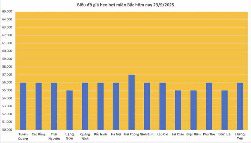 Giá heo hơi hôm nay 23/9/2025: Giảm nhẹ tại miền Bắc và miền Trung - 1