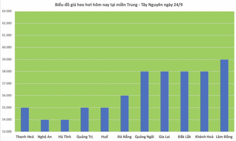 Giá heo hơi hôm nay 24/9/2025: Tiếp tục giảm nhẹ  - 2