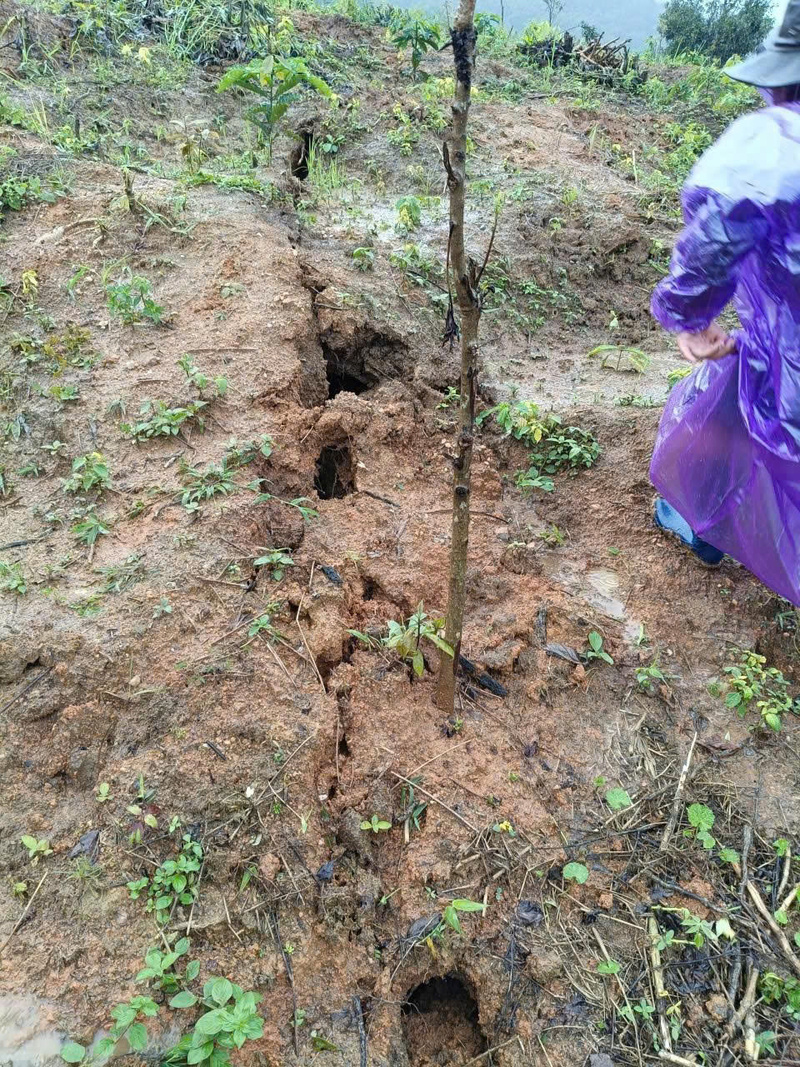 Vết nứt kéo dài 200m không có dấu hiệu rộng thêm nhưng vẫn tiềm ẩn nguy cơ sạt lở rất cao. Ảnh: Nguyễn Dương