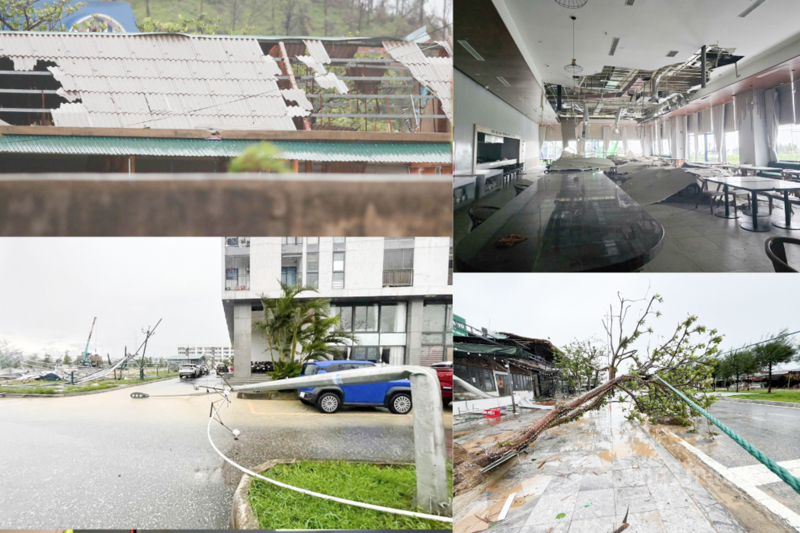 Cảnh tiêu điều, xơ xác khi cơn bão đi qua.