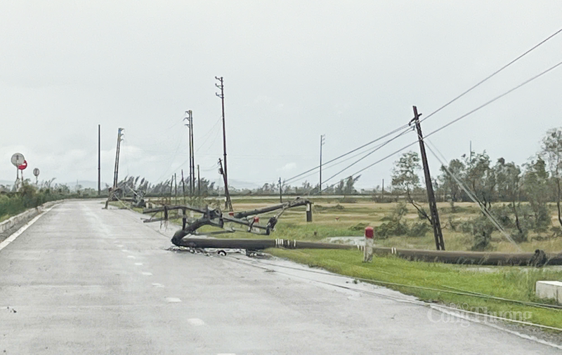 Cột điện gãy đổ nằm la liệt tại tuyến đường ven biển Hà Tĩnh. Ảnh: Phúc Sơn.