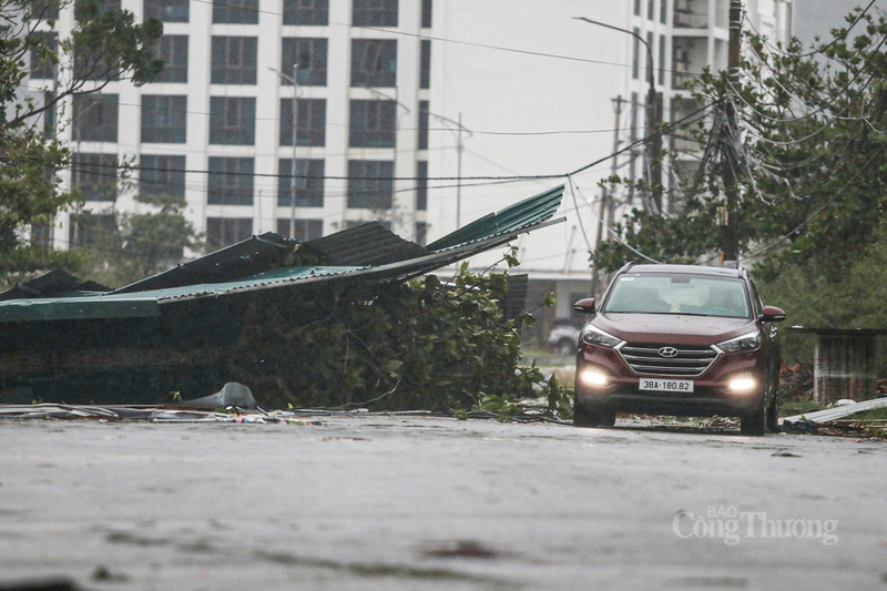 Cây xanh gãy đổ trên các tuyến đường khiến giao thông di chuyển khó khăn.