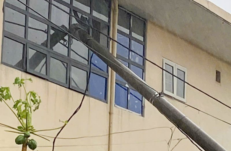 Hộ dân ở Hà Tĩnh mất trắng hàng chục tấn cá lồng bè sau bão số 10 - 9