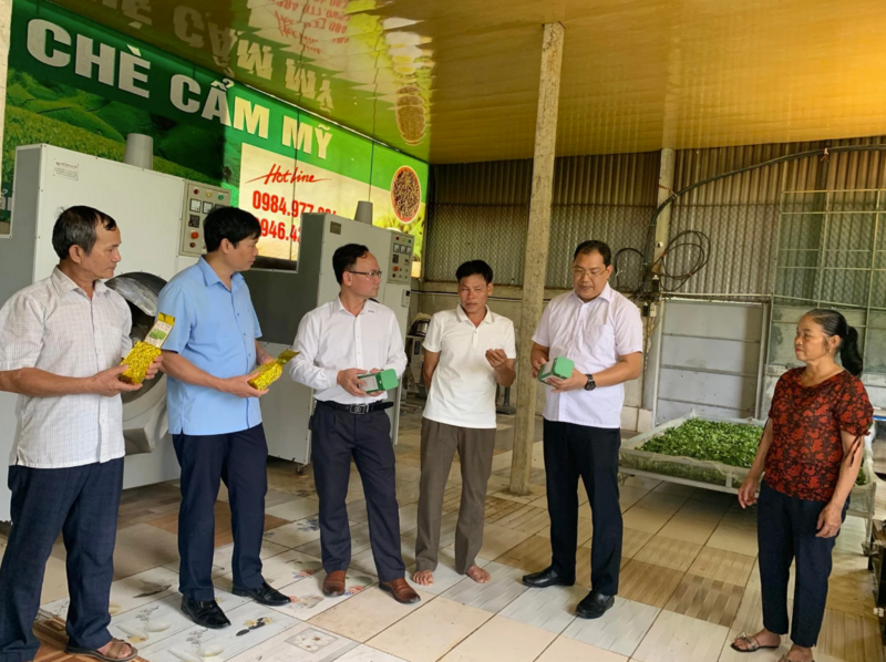 Hợp tác xã chè Cẩm Mỹ (xã Cự Đồng, tỉnh Phú Thọ) đã mở rộng hệ thống phân phối bằng cách đưa sản phẩm lên các nền tảng mạng xã hội, đẩy mạnh quảng bá sản phẩm qua website. Ảnh: Linh Nguyễn