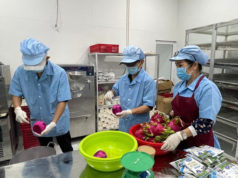 Sản xuất kem thanh long ở HTX thanh long sạch Hòa Lệ.
