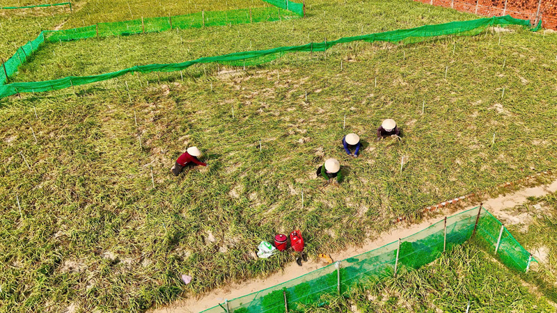 Việc giảm thời gian xử lý hồ sơ, hạn chế thủ tục rườm rà giúp doanh nghiệp dễ dàng triển khai dự án, đặc biệt trong lĩnh vực dịch vụ du lịch, lưu trú và thương mại. Ảnh: Nguyễn Dương