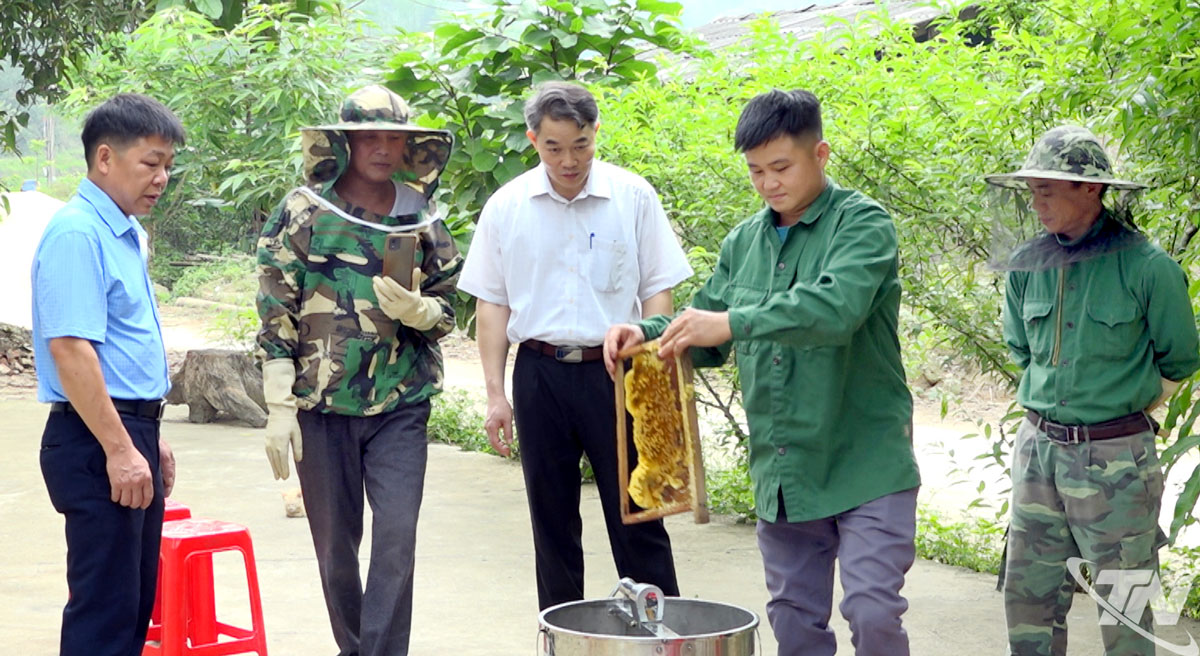 Lãnh đạo Hội Nông dân tỉnh Thái Nguyên thăm mô hình nuôi ong kết hợp trồng bí xanh thơm tại xã Chợ Rã
