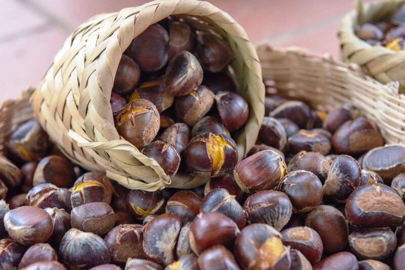 Hạt dẻ Trùng Khánh, tỉnh Cao Bằng