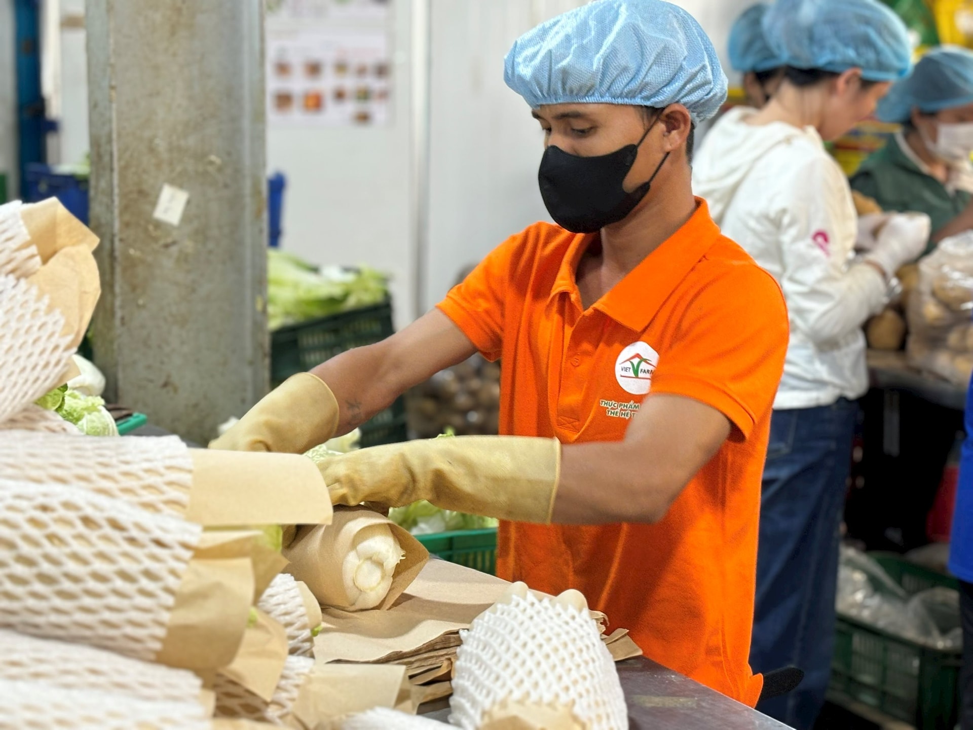 Ngành nông nghiệp luôn rất cần lao động