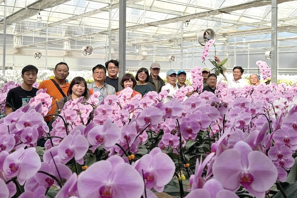 Hoa lan