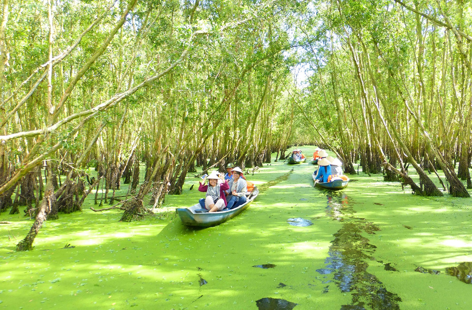 Mùa nước nổi, dưới tán rừng, những mảng bèo non nở thành lớp dày phủ kín mặt nước, tạo nên cảnh đẹp hoang sơ.